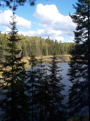 Algonquin PP