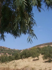 Kreta