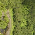 Mauritius -- Trou aux Cerfs