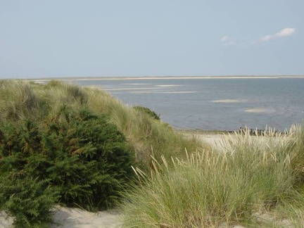 Sylt