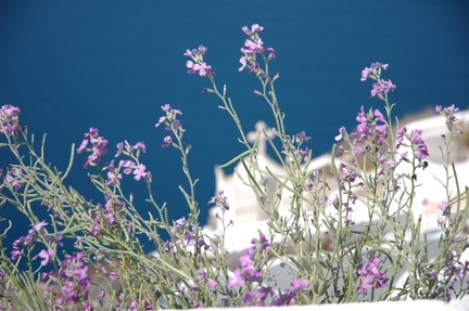 Santorin