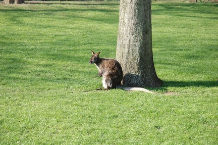 Karlsruher Zoo