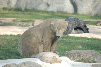 Karlsruher Zoo