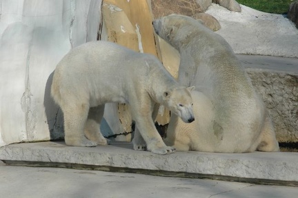 Karlsruher Zoo