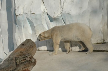 Karlsruher Zoo