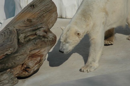 Karlsruher Zoo