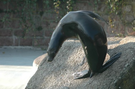 Karlsruher Zoo