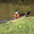 Karlsruher Zoo