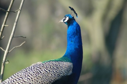 Karlsruher Zoo