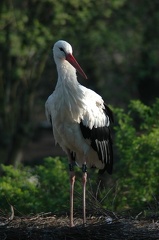 Karlsruher Zoo