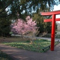 Karlsruher Zoo -- Japanischer Garten