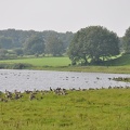 DSC_4051