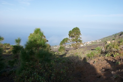 La Palma