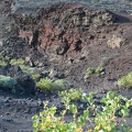 La Palma