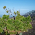 La Palma