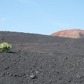 La Palma