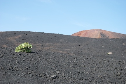 La Palma