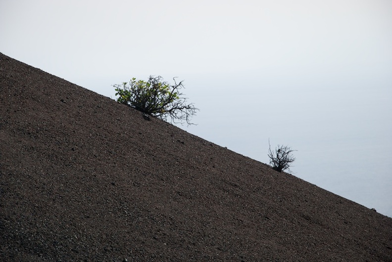 DSC_4992.jpg