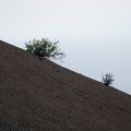 La Palma