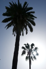 Gran Canaria