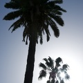 Gran Canaria