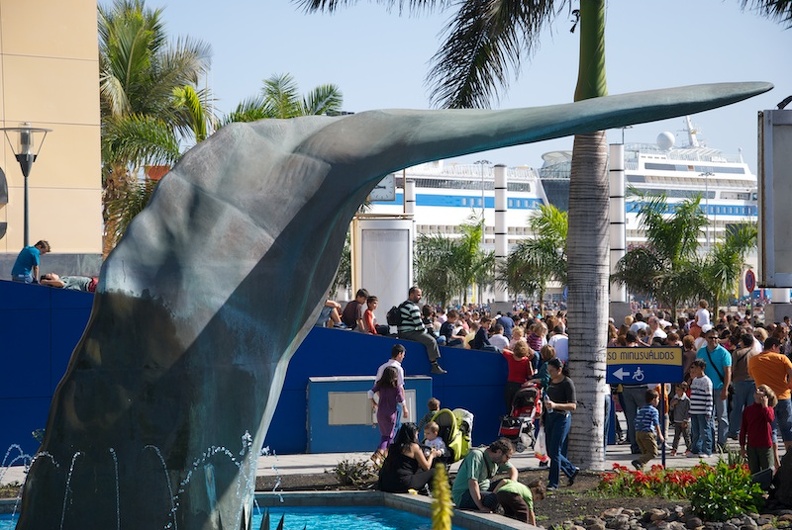 DSC_5064.jpg