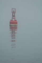 Vancouver Island - Wildlife Tour