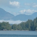 Vancouver Island - Wildlife Tour