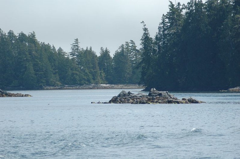 Vancouver Island - Wildlife Tour