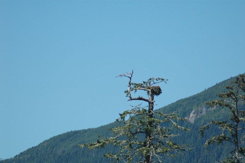 Vancouver Island - Wildlife Tour