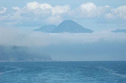 Vancouver Island - Wildlife Tour