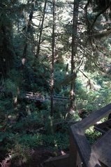 Vancouver Island - Pacific Rim National Park