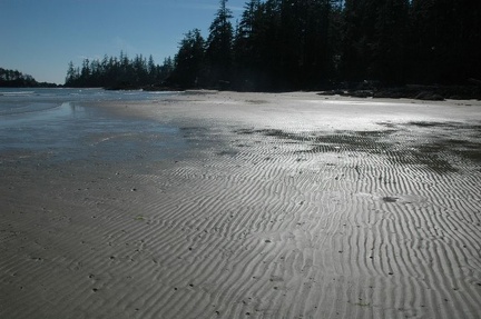 Vancouver Island - Pacific Rim National Park