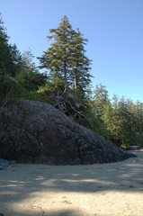 Vancouver Island - Pacific Rim National Park