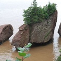 Hopewell Rocks