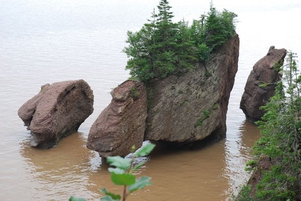 Hopewell Rocks