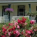 Lunenburg -- Architektur