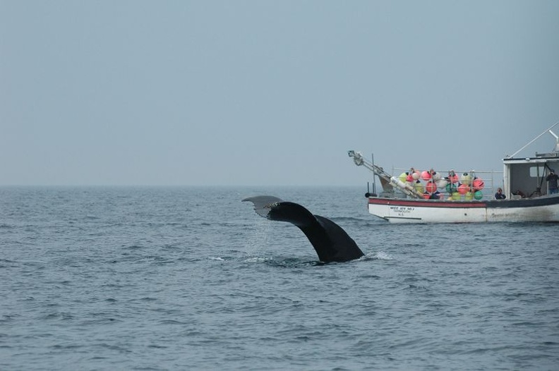 DSC_5937.jpg
