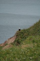 Cape Breton Island