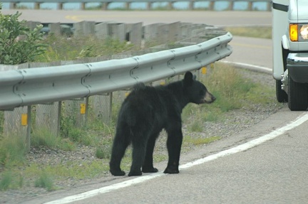 Cape Breton Island