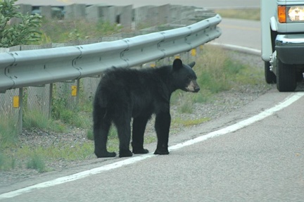 Cape Breton Island