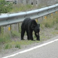 Cape Breton Island