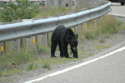 Cape Breton Island