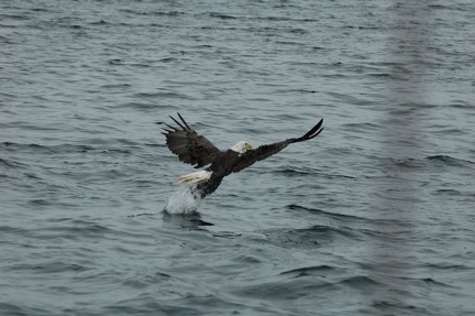 Cape Breton Island