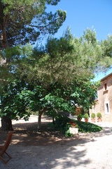 DSC 1517
