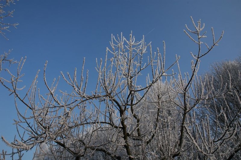 Winterstimmung