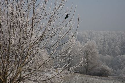 Winterstimmung