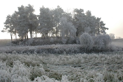 Winterstimmung