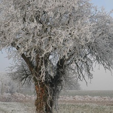 Winterstimmung