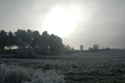 Winterstimmung